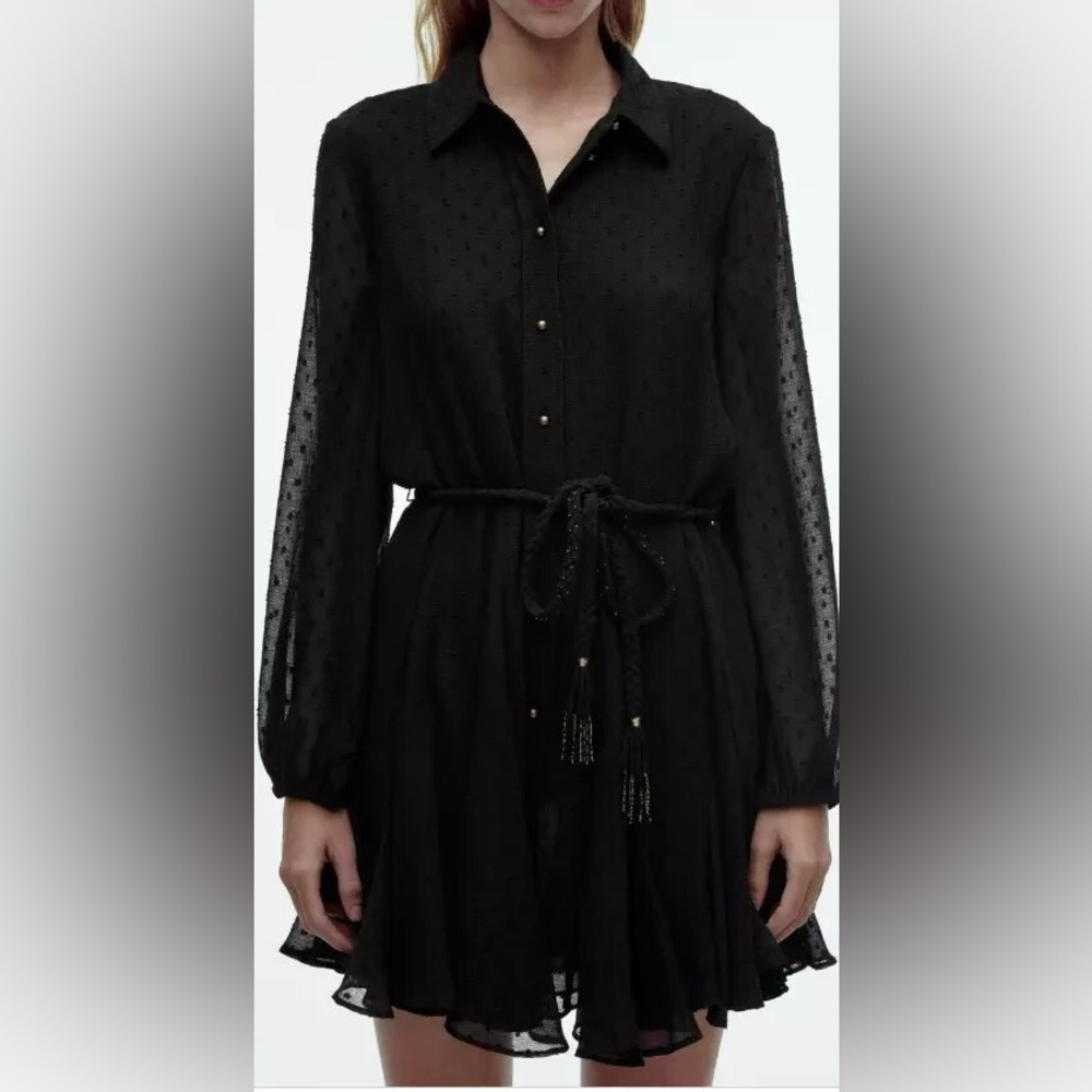 ZARA | Black Long Sleeve Plumetis Mini Dress